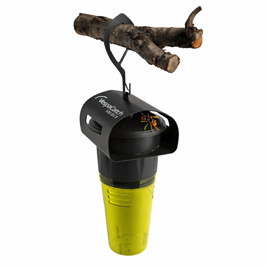 Piège sélectif frelon asiatique VespaCatch – marque française + 4 recharges