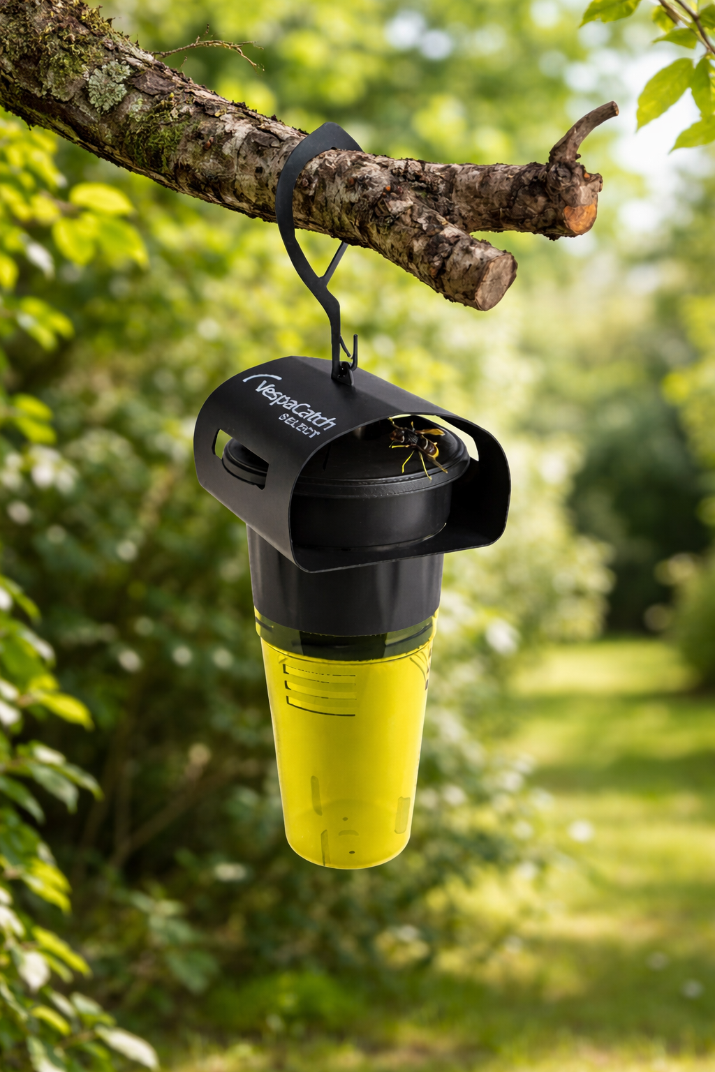 Piège sélectif frelon asiatique VespaCatch – marque française + 4 recharges